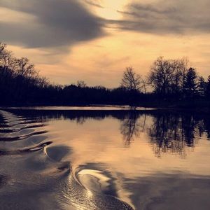 Meet your Posher, Anam